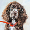 Custom Hand-Painted Oil Painting of Your Pet from Photo -Drawiind