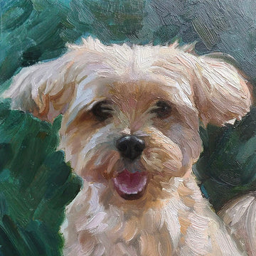 Custom Hand-Painted Oil Painting of Your Pet from Photo -Drawiind