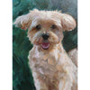 Custom Hand-Painted Oil Painting of Your Pet from Photo -Drawiind