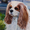 Custom Hand-Painted Oil Painting of Your Pet from Photo -Drawiind