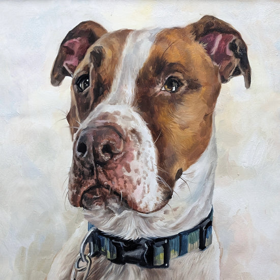 Custom Hand-Painted Oil Painting of Your Pet from Photo -Drawiind