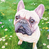 Custom Hand-Painted Oil Painting of Your Pet from Photo -Drawiind